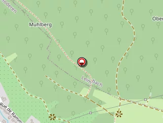 Carte de Cathy Gasser à Roderen