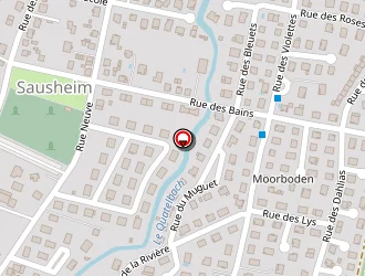 Carte de Schluck Francis à Sausheim