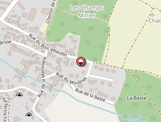 Carte de Brazilier (scea) à Thoré-la-rochette