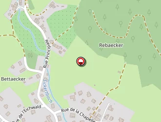 Carte de Wittmann Guillaume à Sickert