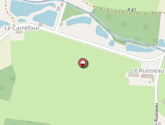 Carte de Tetard Nicole à Mayet