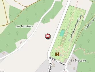 Carte de Terrain Mixte à Cohons