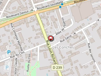 Carte de Devaux Jacky à Auxerre