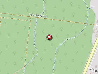 Carte de Jd Concept à Wittelsheim