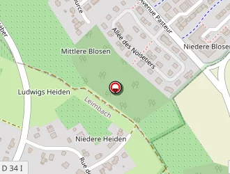 Carte de Pension Féline à Leimbach