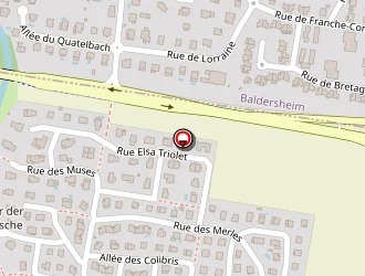 Carte de Taxi Thierry à Sausheim