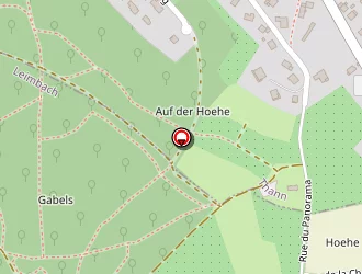 Carte de Vert L'avenir à Leimbach