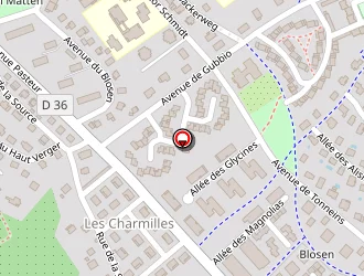 Carte de Goepfert Gaëlle à Thann