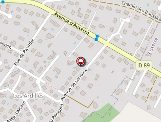 Carte de Rougemont Philippe à Auxerre