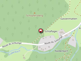 Carte de 'piste De Ski ''le Schlumpf''' à Dolleren