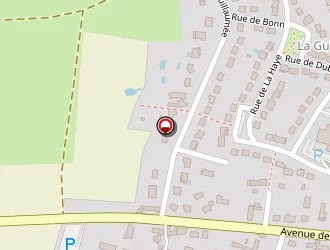 Carte de Geste Gérard à Saint-georges-sur-baulche