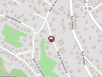 Carte de Beringer Thierry à Thann