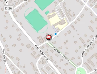 Carte de Palace à Thann