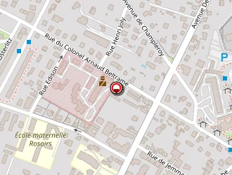 Carte de Dailloux Didier à Auxerre