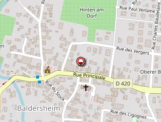 Carte de Pro Services à Baldersheim