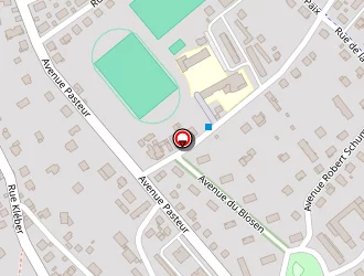 Carte de Vincent Antoine à Thann