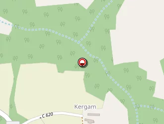 Carte de Electricité Guichard Ivan à Guidel