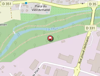 Carte de Radig Thomas à Vieux-thann