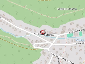 Carte de Verhoeven Médicaire à Thann