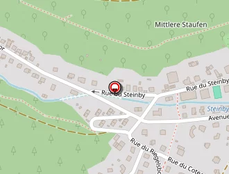 Carte de Pointurier Raymond à Thann