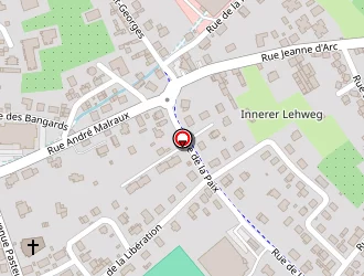 Carte de Fleur Haubensack Francis à Thann