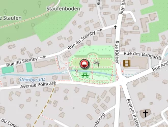 Carte de Pernot Patrick à Thann