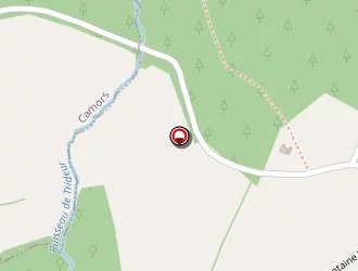 Carte de Grain De Beaute à Pluvigner