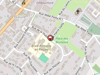 Carte de Aupetit Alain à Baule