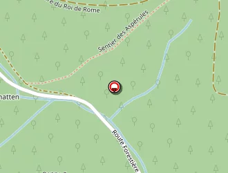 Carte de Courts De Tennis à Thann