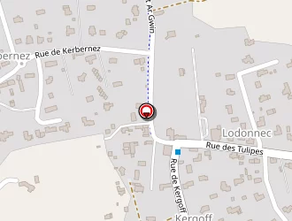 Carte de Gaillere Caroline à Loctudy