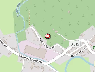 Carte de Pfeffer Daniel à Servance