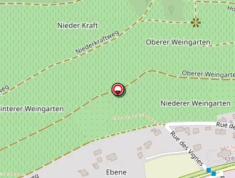 Carte de Freitas Anibal à Steinbach