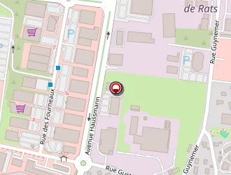 Carte de Feu Vert à Auxerre