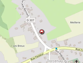 Carte de Terrain De Petanque à Torcenay