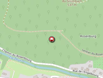 Carte de Vicquery Edith à Thann