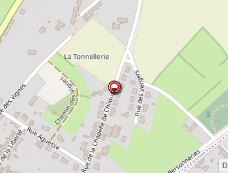 Carte de Lépine à Malicorne-sur-sarthe