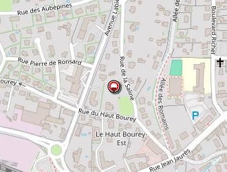 Carte de Paris Sas à Luxeuil-les-bains