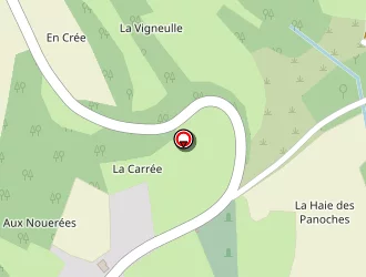 Carte de Elorrioroz Narcisse à Torcenay