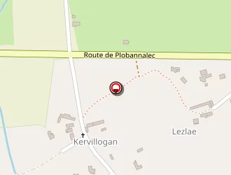 Carte de Le Calvez Benoit à Treffiagat