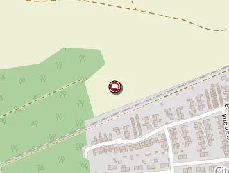 Carte de Ripsam Aurélie à Wittenheim