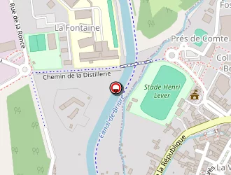 Carte de Du Puyrault à Châtillon-coligny