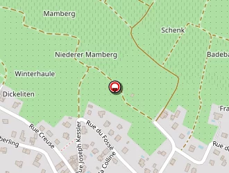 Carte de Urgence (services Locaux) à Uffholtz