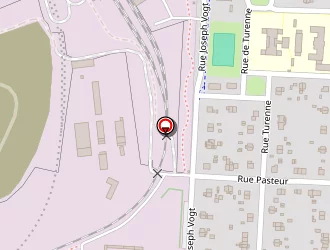 Carte de Iannotti Sylvain à Wittenheim