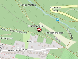 Carte de Gruppi Lucien à Steinbach