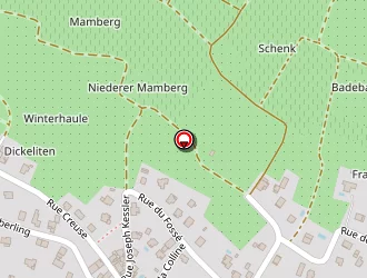 Carte de Berger Jean à Uffholtz