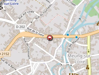 Carte de Millot Mathilde à Meung-sur-loire