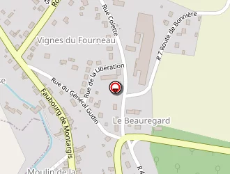 Carte de Bouvet Jean-claude à Châtillon-coligny