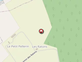 Carte de Face Centre-loire à Nogent-sur-vernisson