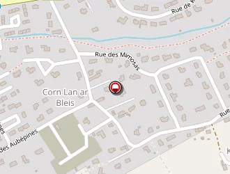 Carte de Chever Bernard à Loctudy