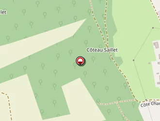 Carte de Lucas Chloé à Noidant-le-rocheux